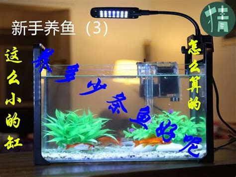 魚缸尺寸計算|魚缸計算機